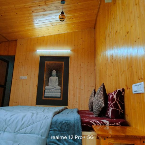 The acoustic cabin jibhi riverside